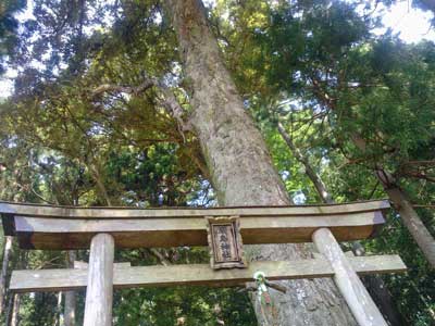 九重の厳島神社