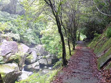 桃太郎岩への道