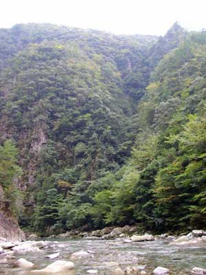 和田川峡