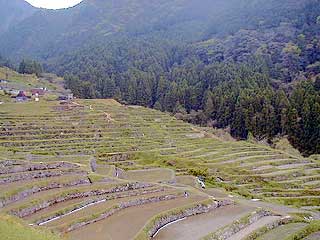 丸山千枚田