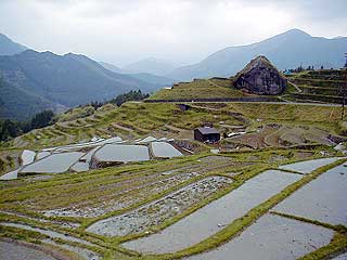 丸山千枚田