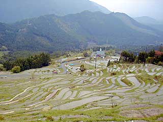 丸山千枚田