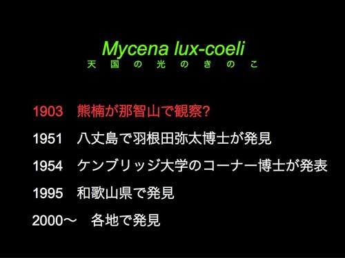 シイノトモシビタケの発見と命名