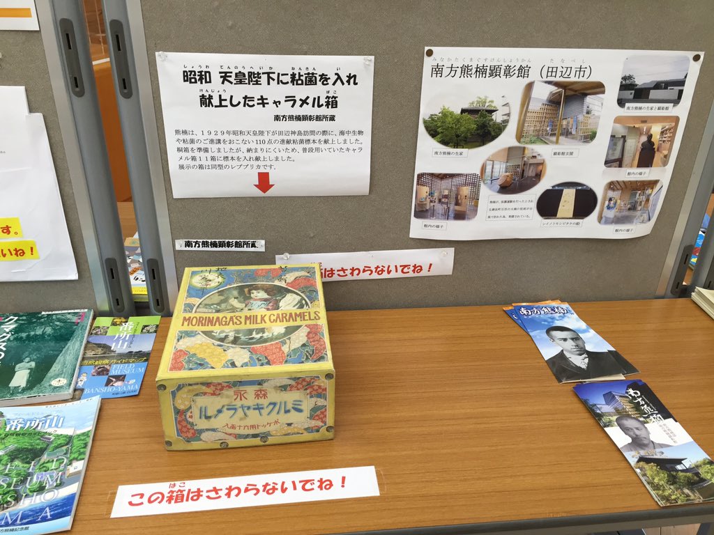 宇久井ビジターセンター「”よしくま”の森で君も南方熊楠になろう！」