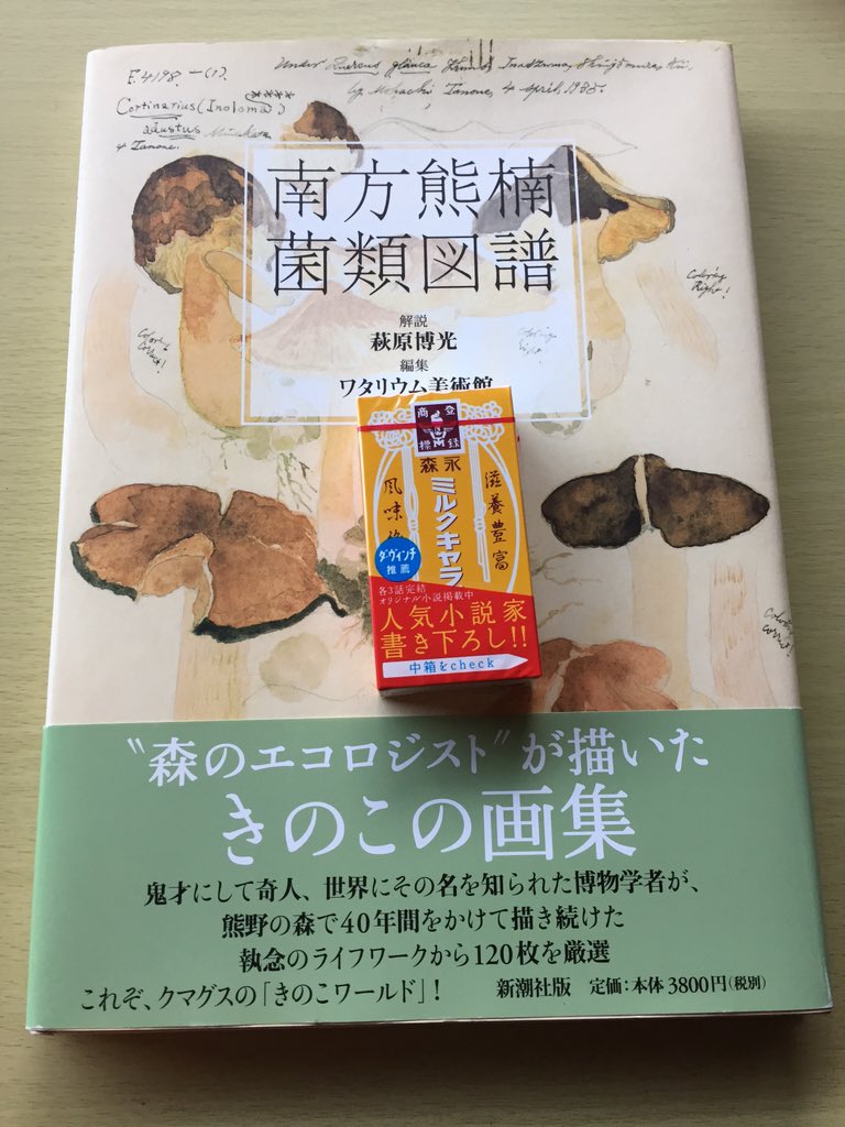 宇久井ビジターセンター「”よしくま”の森で君も南方熊楠になろう！」