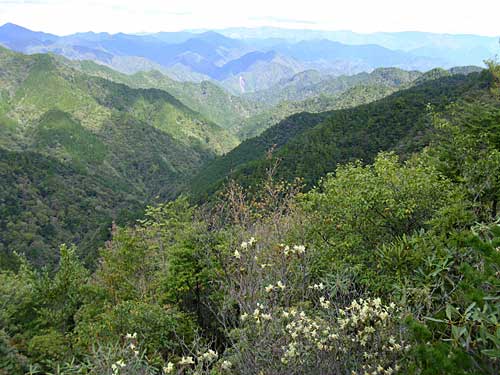 熊野三千六百峰