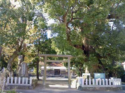 浜の宮王子（熊野三所大神社）