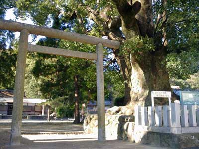 熊野三所大神社