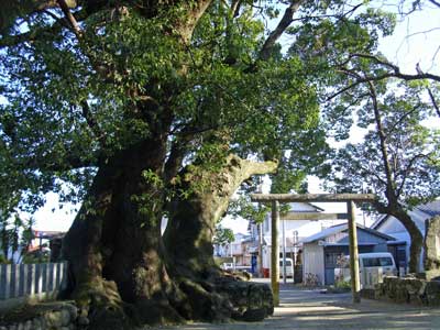 熊野三所大神社