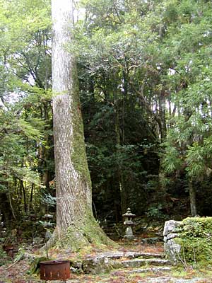 丹倉神社