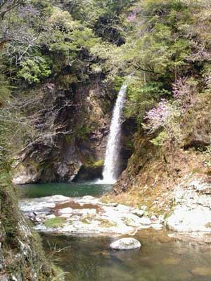 雨滝