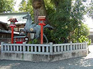 蟻通神社霊樟