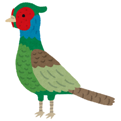 雉