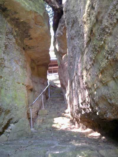 秋葉神社参道