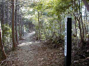 熊野古道の道標