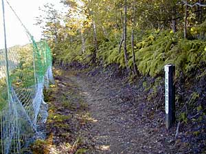 熊野古道