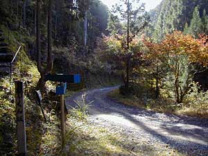 熊野古道