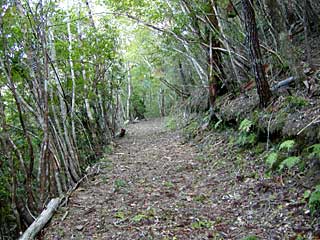 山寺権現伏拝への山道