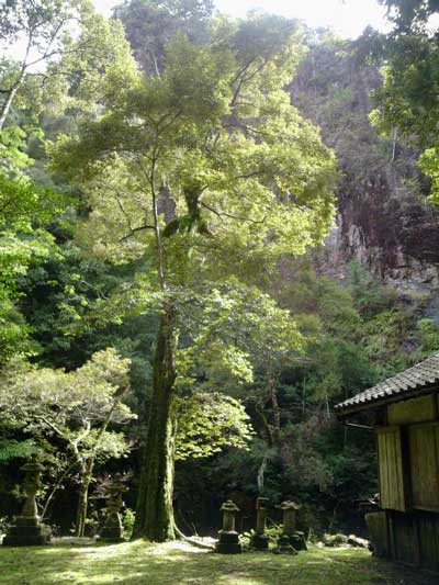 色川神社