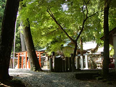 伊作田稲荷神社境内