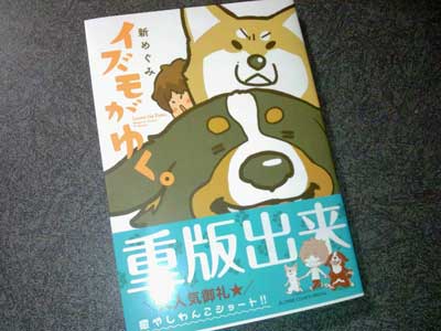 新めぐみ イズモがゆく の感想 熊野の本