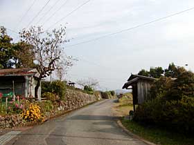 熊野古道