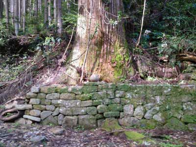 甲明神社