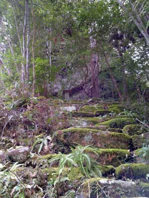 木葉神社跡