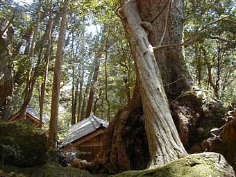神内神社