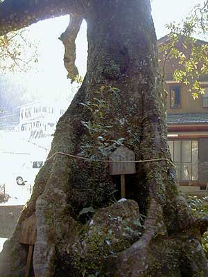 神内神社