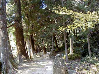 神内神社参道