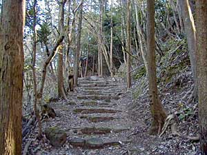 熊野古道 高野坂