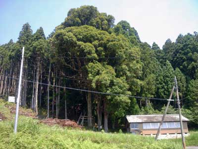 九重の厳島神社