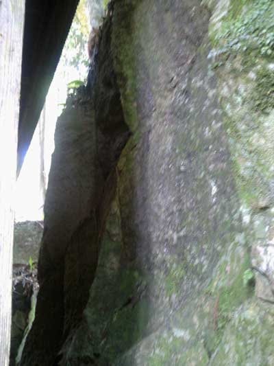 九重の厳島神社