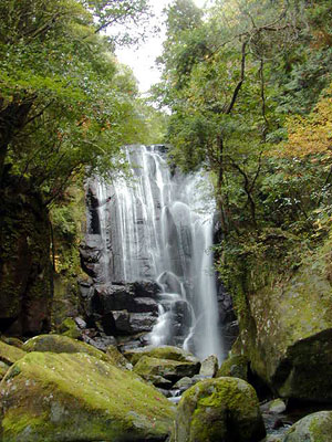 桑ノ木の滝