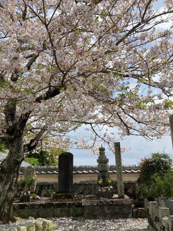 雑賀孫一の墓