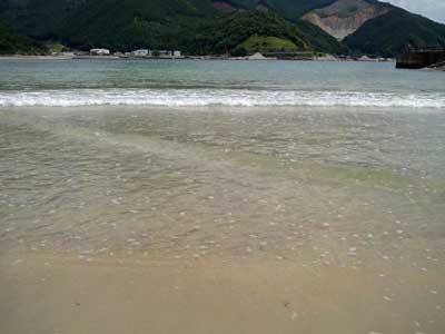 三木里海水浴場