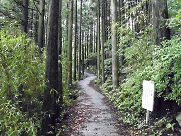 桃太郎岩への道