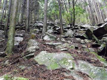 桃太郎岩への道