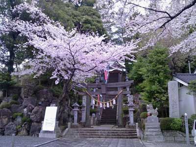 師岡熊野神社鳥居