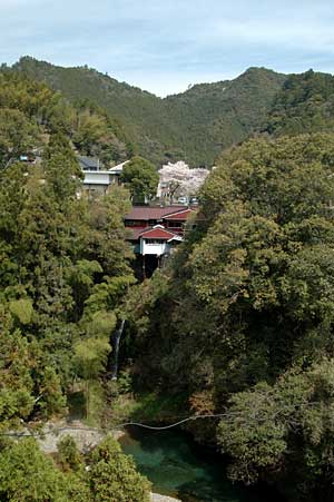 立木染 虹の木工房