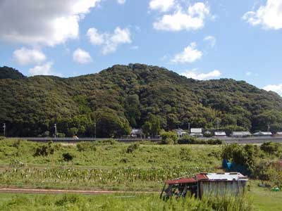 日神社遠景