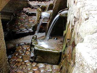 野中の清水