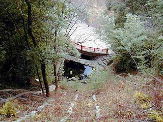 野中の清水