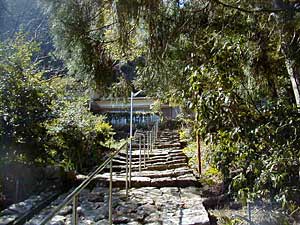 大馬神社参道