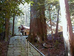 大馬神社拝殿