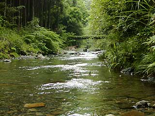 音無川