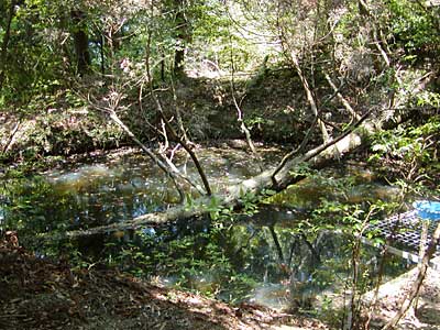 竜神山神池