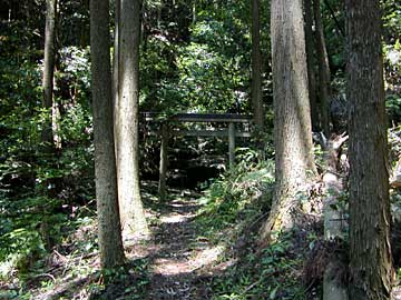 龍神山