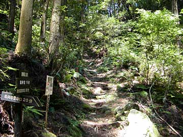 龍神山表参道出合